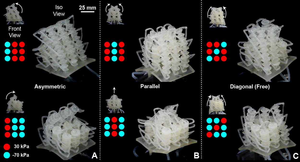 Selective Unit-Cell Actuation in Lattice Structures for Distributed Morphology in Soft Robots