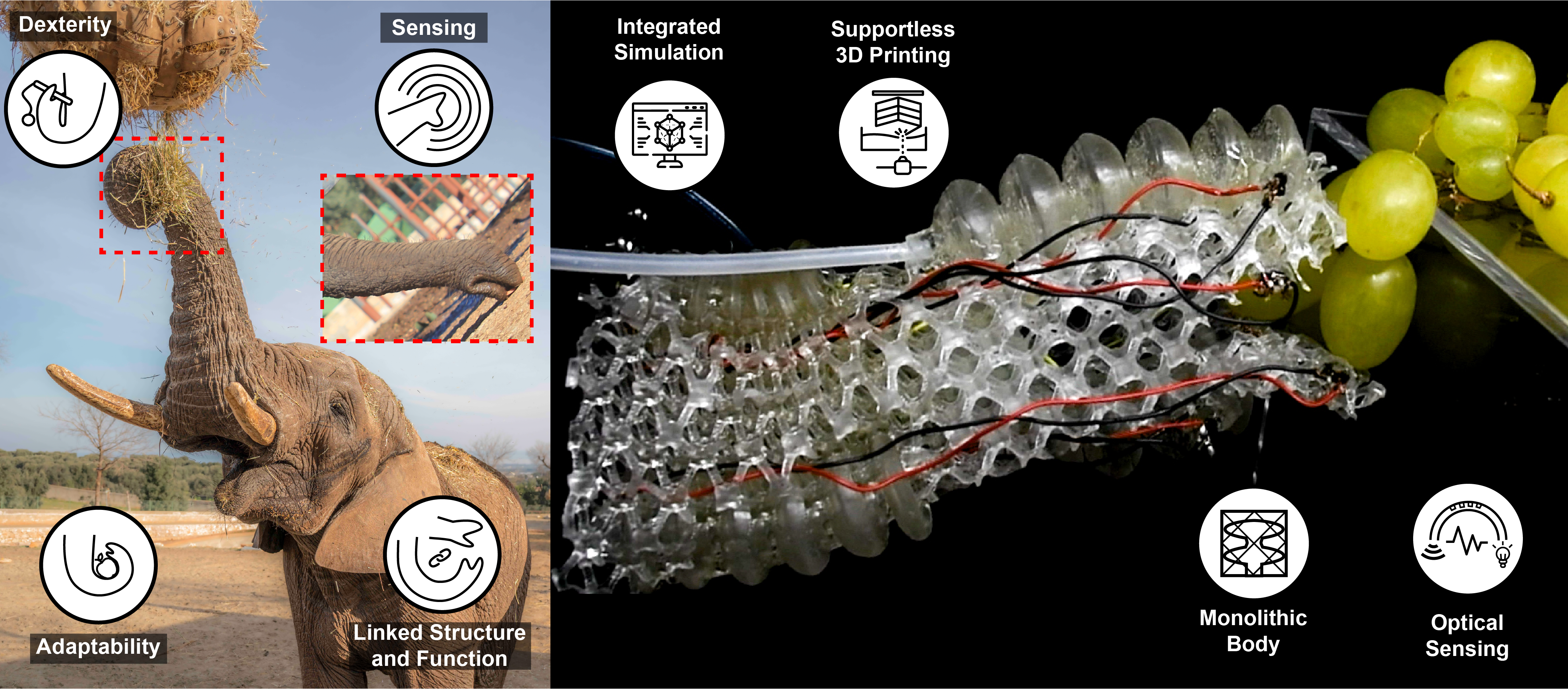 MELEGROS: Monolithic Elephant-inspired Gripper with Optical Sensors